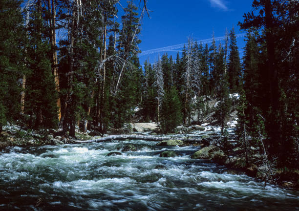A close-up photograph showcases a collection of river rocks along a shoreline, with distinct geological layers visible in the primary rock. The background features blurred water, enhancing the natural and serene landscape, ideal for environmental or geology-themed projects.