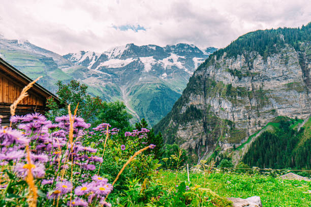 Beautiful nature view beside the way seen from bus in Canton Schwyz, Switzerland.