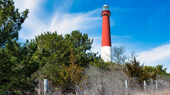 A coastal lighthouse amidst lush greenery by the sea