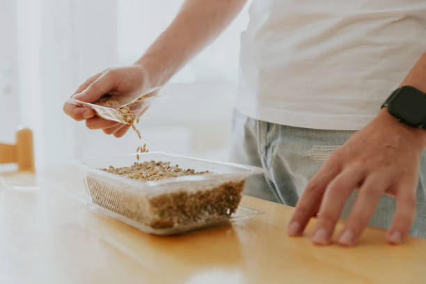 istock A young man plants wheat seeds in a container. 2069435567