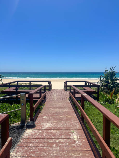 Brown timber platform lookout at the beach.  Greenery either side. White sand and blue ocean in the distance.  Blue skies.  Gold Coast Queensland Australia