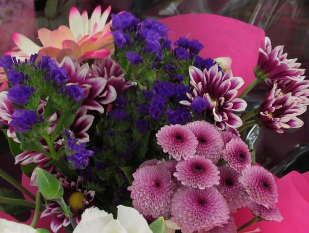 Beautiful Bright Colourful Dahlia Flowers Bouquet