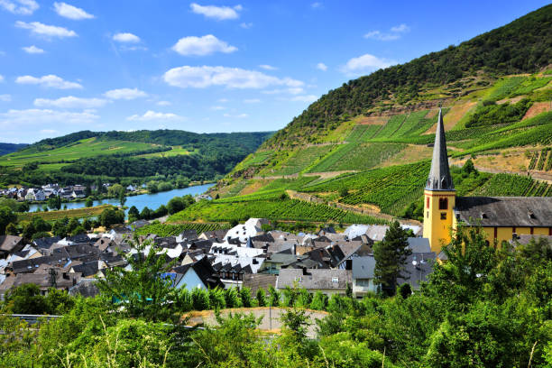 Mit Blick auf wunderschöne Weinberge und ein Dorf in der Moselregion – Foto