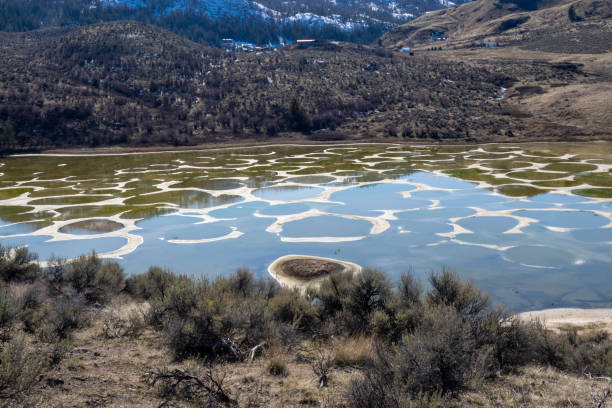 istock Spotted lake and winery in Osoyoos 2069510374