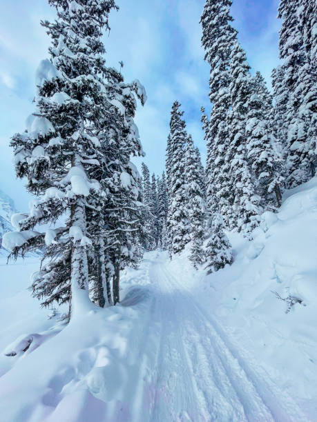 istock Cross Country Ski Trails 2069513937
