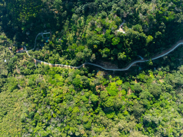 istock Aerial view Drone camera rainforest trees ecology with healthy environment concept and summer background 2069539361