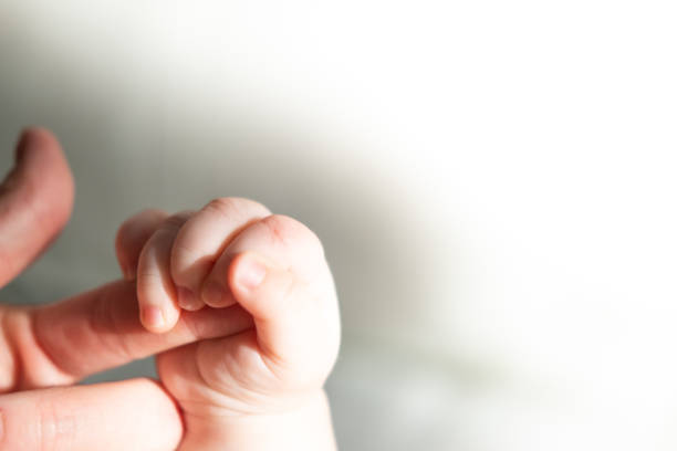 The tiny hands of a newborn baby held in the mother's hands with love and warmth.