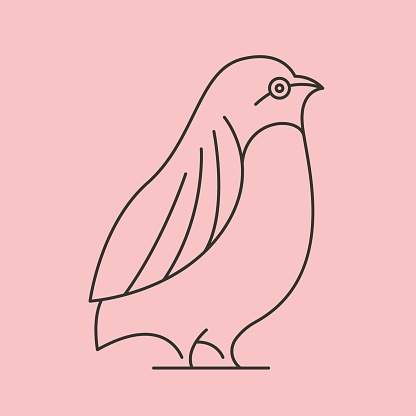 quail bird line art vector symbol illustration design