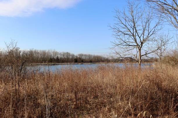 istock Pond in the Country 2069630079