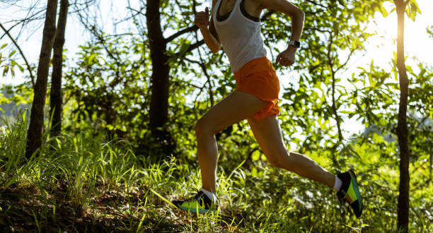 istock Woman runner running on forest trail 2069651335
