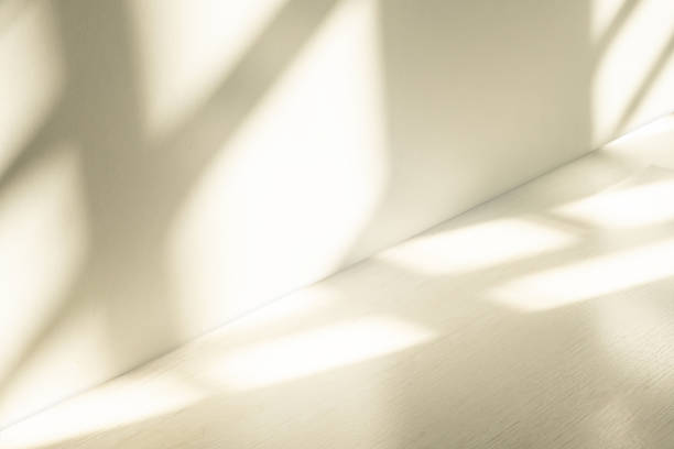 The sunshine triangular light on the wood walls and wood grain floors