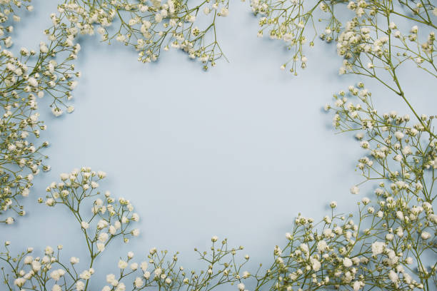 istock Space for copy background and flower decoration 2069756066