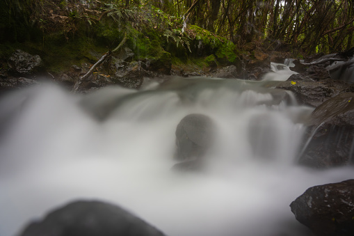 Steam flowing through wilderness area of Ketetahi Track in Tongariro Alpine National Park, New Zealand