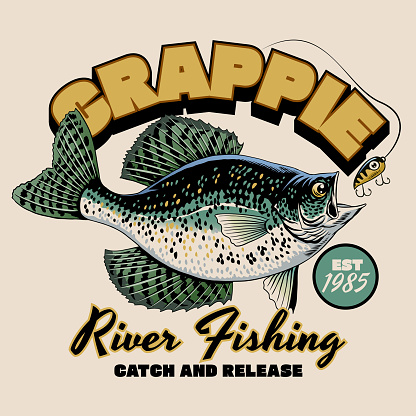 Vector of Crappie Fish Vintage Shirt Design