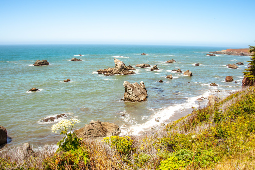 The Oregon coast offers many scenic views. Traveling along Highway 101 travelers can stop of one of the many vista points along the way.