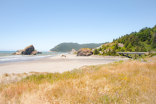 The Oregon coast offers many scenic views. Traveling along Highway 101 travelers can stop of one of the many vista points along the way.