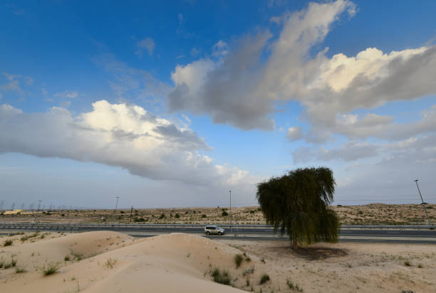 istock Al Qudra Desert in Dubai 2069982973