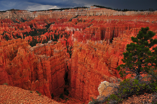 Panoramic View of Pinnacles and Spires of Bryce Canyon National Park in Utah, USA.