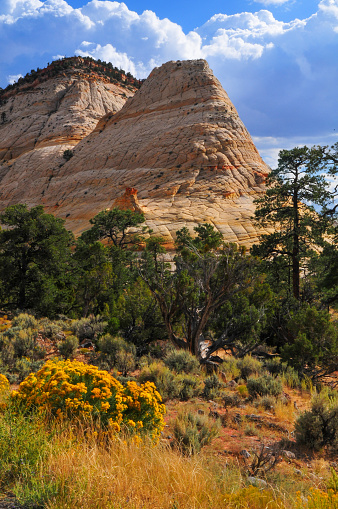 The white slickrock domes at the beginning of the Burr Trail, Boulder, Utah, Southwest USA.