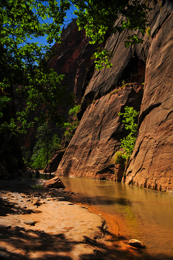 Hikers on a sunny morning on the lower reaches of the Narrows of the Virgin River, Zion National Park, Utah, Southwest USA.