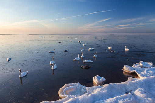 Baltic sea Vidzeme stony seashore
