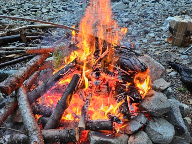 istock Flames from wood fire in the campground in a fire pit made from rocks in the forests of Washington State 2070138121