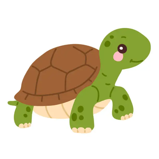 Vector illustration of cute doodle baby turtle