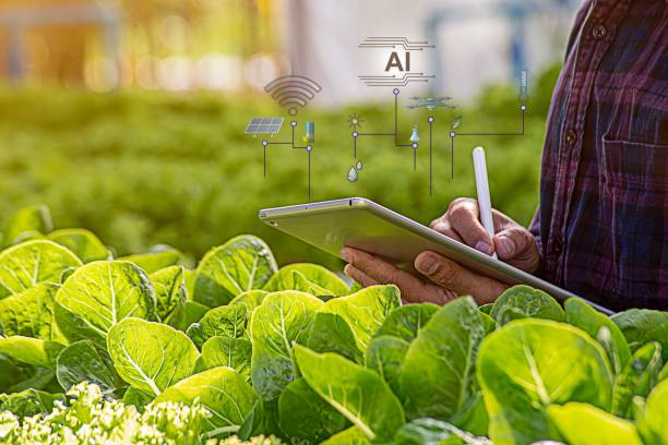 istock Smart farmer using tablet iot technology analyzing plant health such as water soil moisture 2070163485