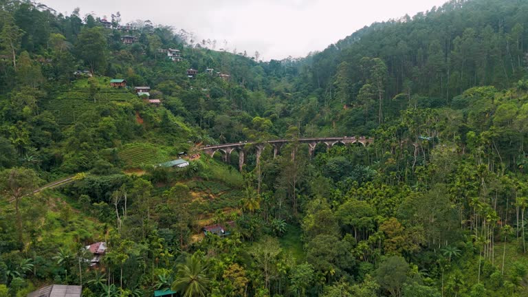 Aerial view of Nine arch bridge on Sri Lanka