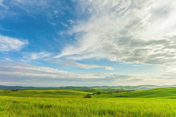 istock Green fieldsin Tuscany, Italy 2070224269