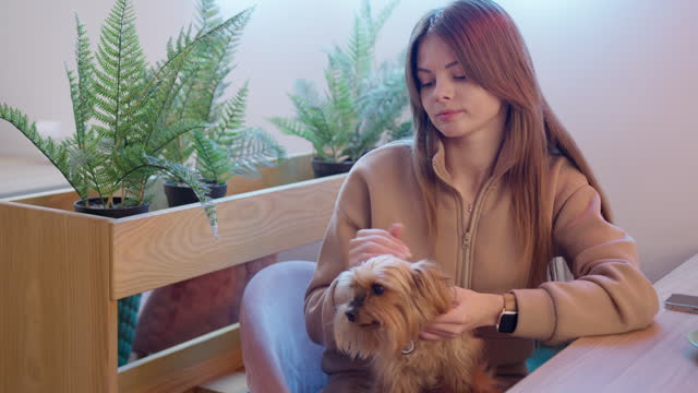 A young woman caressing a yorkie in a cafe.