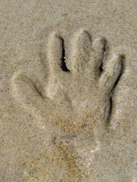 istock close up on hand print on beach sand 2070242474