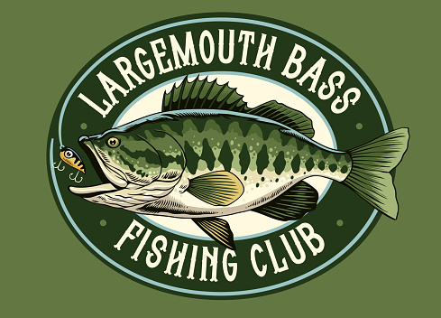 Vector of Vintage Shirt Design of Largemouth Bass