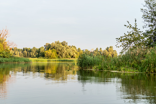 Nature and lake. Natural landscape with trees and lake. Passage from lake to lake. Sunny weather.