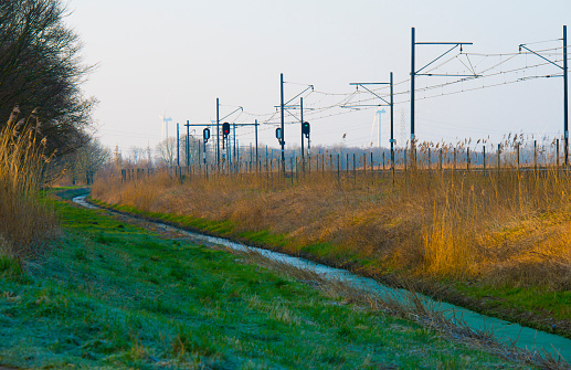 Railway in a green field with reed in wetland in winter, Almere, Flevoland, The Netherlands, March 8, 2024