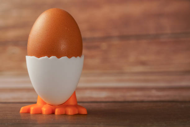 Brown Chicken Egg in an Eggcup