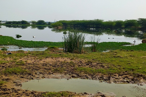 Agricultural, Navagam to Govind pura Road, Ahmedabad, Gujarat