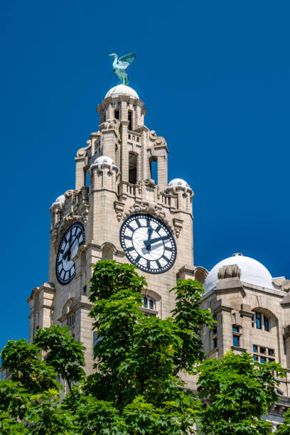 liverpool skyline iconic buildings - charyty zdjęcia i obrazy z banku zdjęć