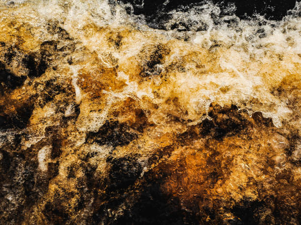 Amber Rush: The Wild Dance of River Rapids in Brazilian Amazon