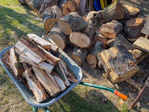 Firewood in a wheelbarrow after splitting with logs in the background