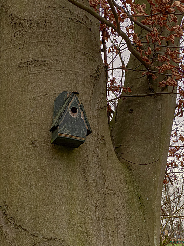 A birdhouse on a tree trunk in the park in winter.