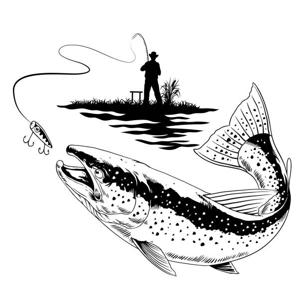 ilustrații de stoc cu pescarul prinde peștele păstrăv mare în alb și negru - pescuit