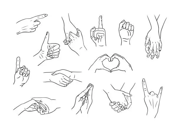 Vector illustration of Sketchy drawings oh different poses of human hands