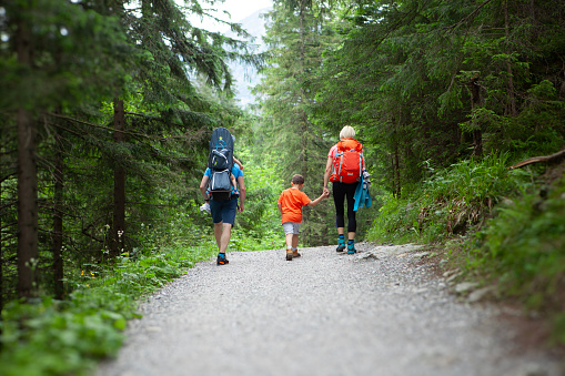 Zakopane, Poland. 24 July 2020: Family Hiking Adventure in the Lush Green Forest.