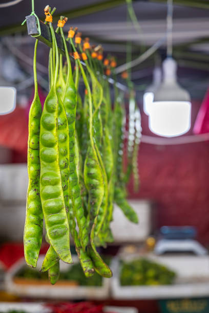 Bitter beans, Parkia speciosa for sale at a market stall. The photograph is taken at the Chow Kit market in the Malaysian capital Kuala Lumpur