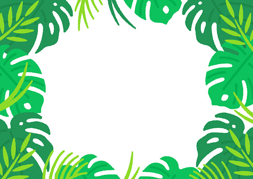 Summer resort style frames. Tropical exotic and cute simple backgrounds.