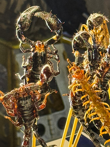 Stock photo showing close-up view of deep-fried invertebrate kebabs, millipede and scorpions on bamboo skewers being sold at street food market stall.