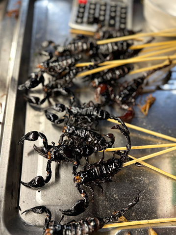 Stock photo showing close-up, elevated view of a heap of deep-fried invertebrate kebabs of scorpions on bamboo skewers being sold at street food market stall.