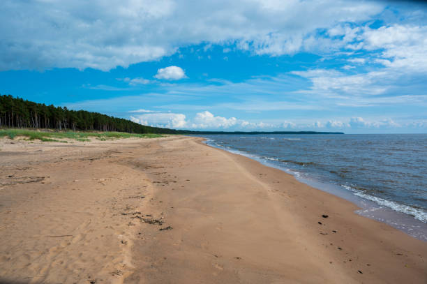 istock Sandy beach, sea and coniferous forest 2070607638