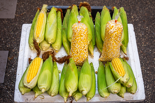 Fresh corn on the cobs and in plastic bags. The photograph is taken at the Chow Kit market in the Malaysian capital Kuala Lumpur